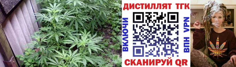 Дистиллят ТГК вейп с тгк  площадка Telegram  гидра ССЫЛКА  Саки  хочу наркоту 
